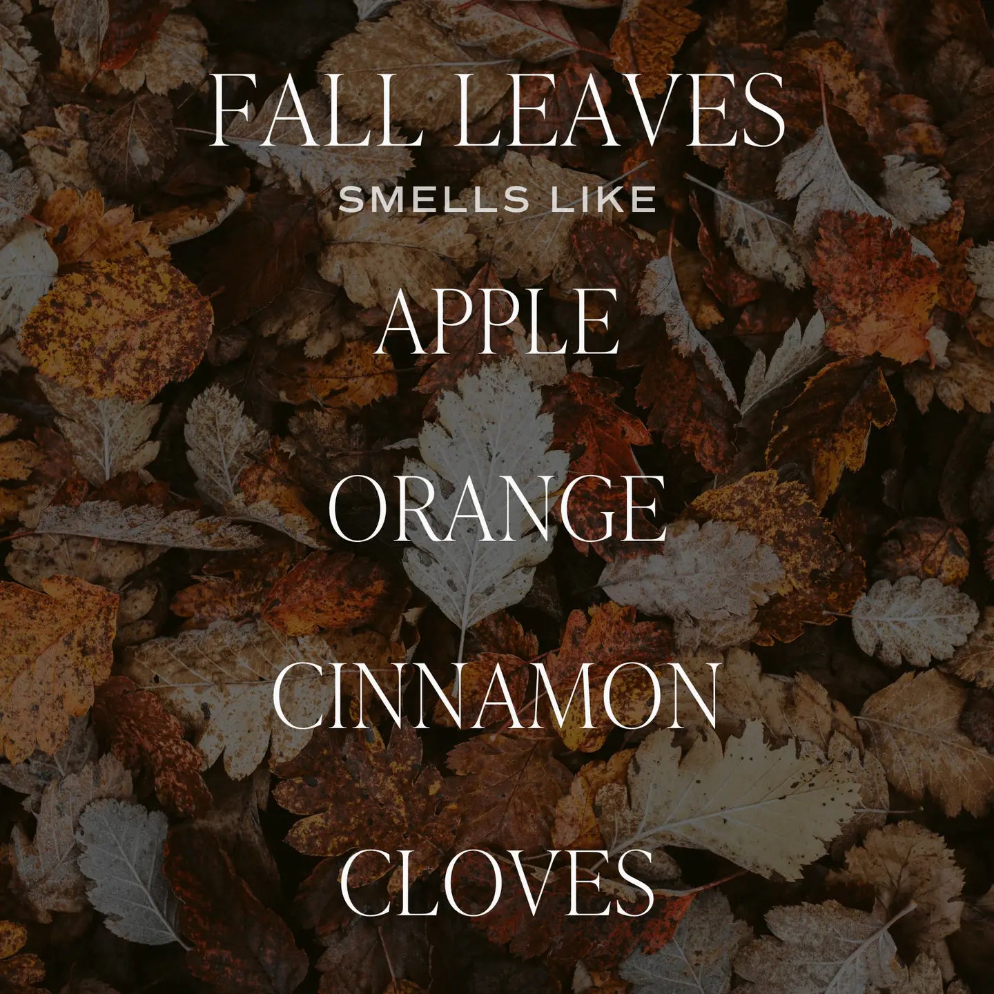 Fall Leaves 15oz Candle (70+ Hours of Burn Time)
