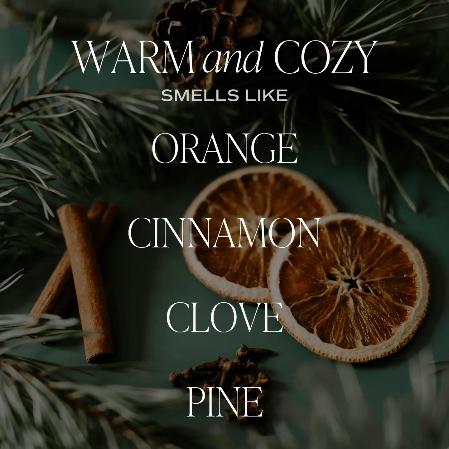 Warm and Cozy 15 oz Candle