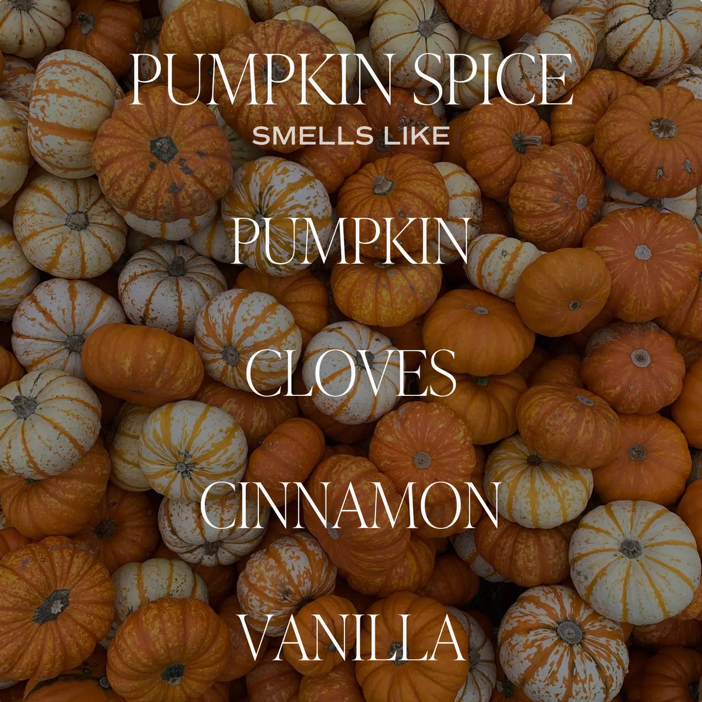 Pumpkin Spice 15oz Candle