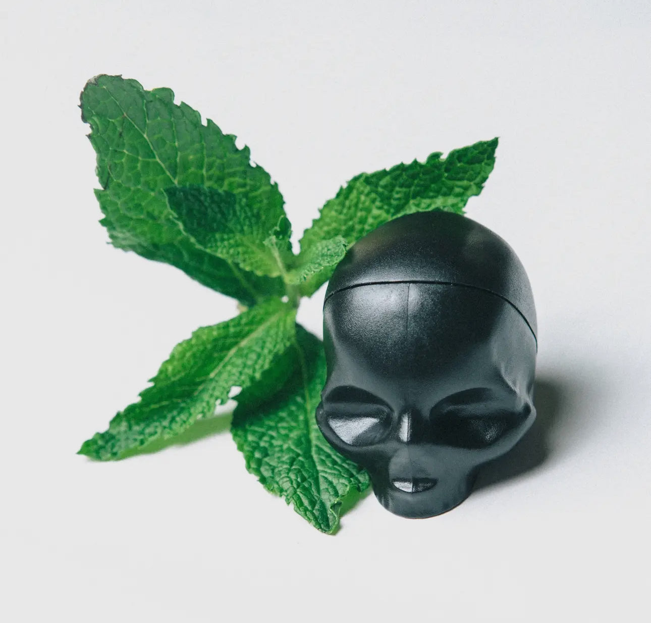 Rebels Refinery Skully Lip Balm