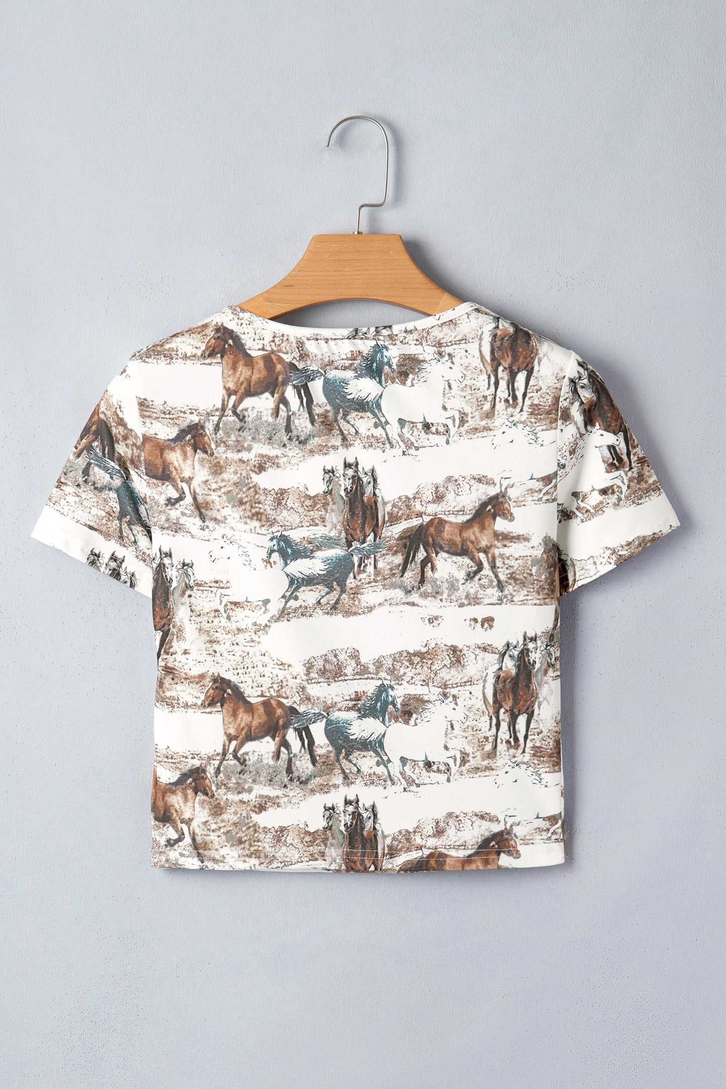 Wild Mesa Tee