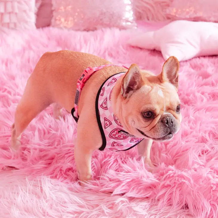 Pink Pizza Reversible Harness
