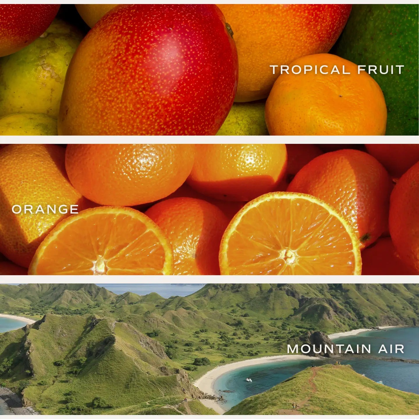 XOXO 15oz Soy Candle