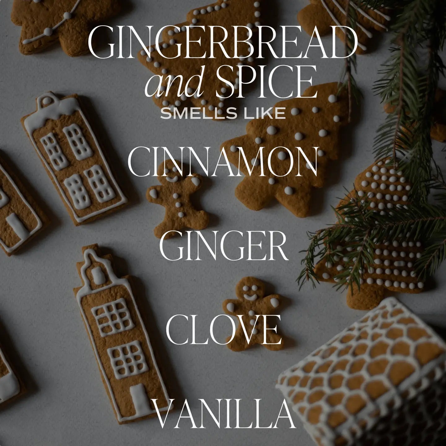 Gingerbread & Spice 15oz Soy Candle