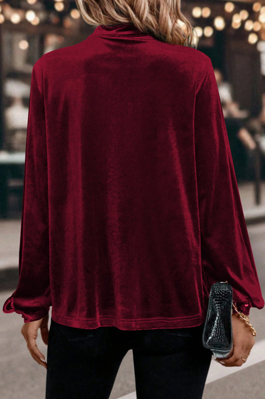 Holiday Luxe Velvet Top